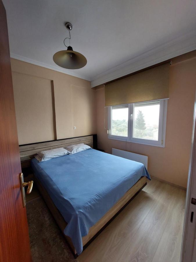 Bright View Apartment PalaiónTsiflíkion Extérieur photo
